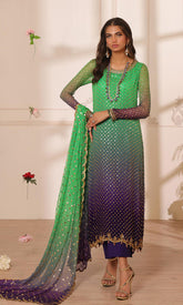 Nomi Ansari-NALP24-44