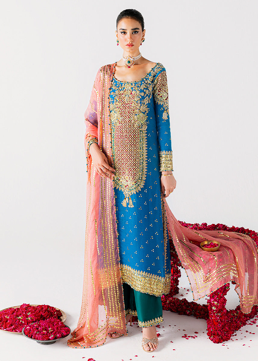 Shab Ayin pakistani indian wedding dress formal party outfit