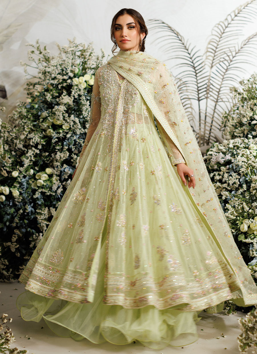 iris mauve lemon Pakistani wedding bridal dresses mehndi nikkah outfits