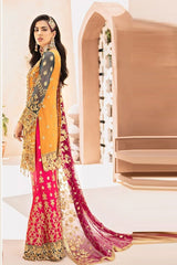 Emaan Adeel chiffon collection