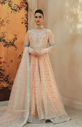 Mah E Noor (FFM - 11)