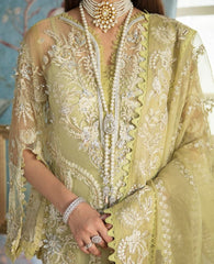 joi de vie LF-62 lime