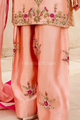 Ranisa Zari Work 2025