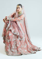 Hussain rehar Tropica