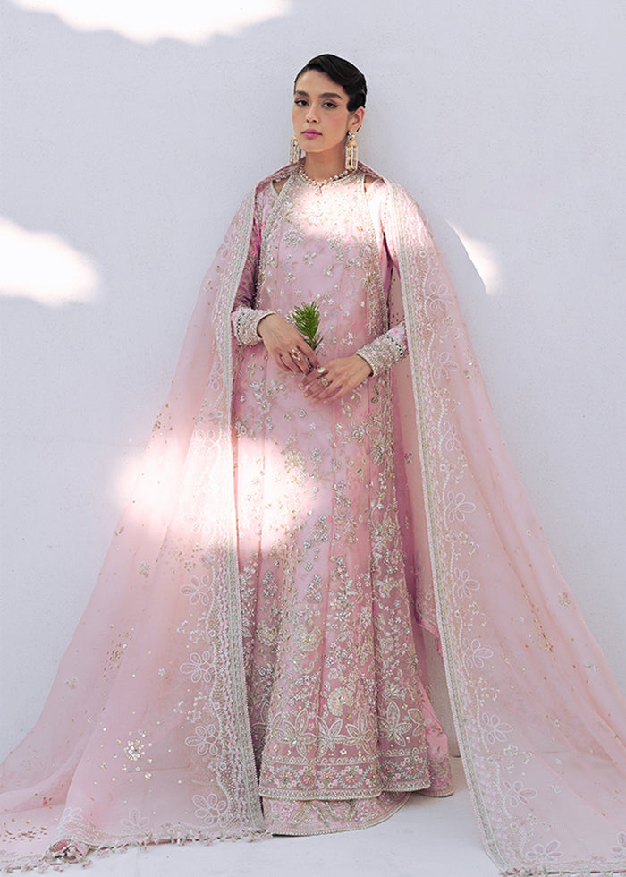 Suffuse FALEK Pakistani wedding bridal dresses mehndi nikkah outfits pakistani wedding dress, pakistani bridal dresses, pakistani wedding guest dresses, nikkah dresses, pakistani wedding outfits, pakistani wedding wear, pakistani wedding guest outfits, wedding wear pakistani dresses, asian pakistani wedding dresses, bridal pakistani gowns, bridal wear dresses pakistani, pak bridal dress, paki wedding dress, pakistani bridal dresses in pakistan, pakistani bridal gown dresses, pakistani bridal outfit, pakista