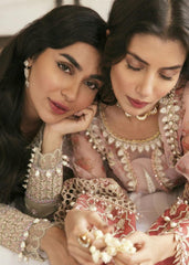 Gul Afshan