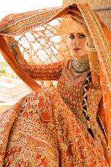 Jahanara Jahan VOL II