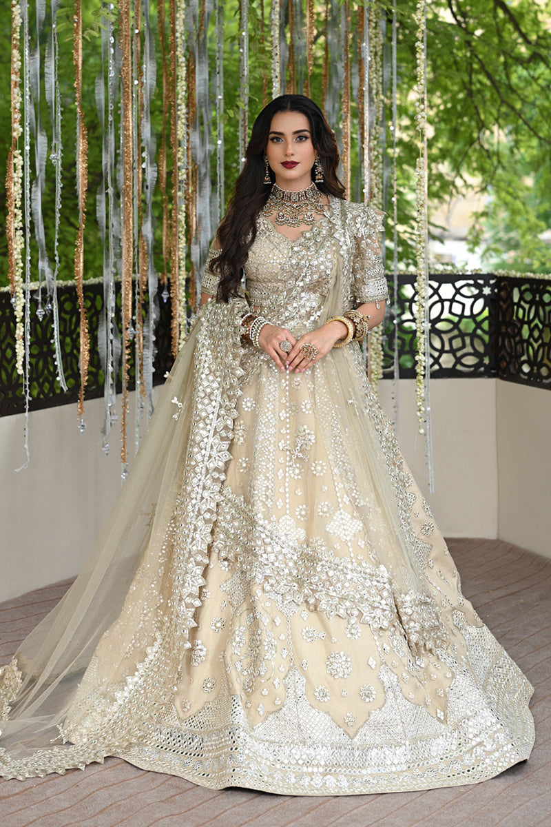 Pakistani wedding bridal dresses mehndi nikkah outfits