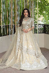 Pakistani wedding bridal dresses mehndi nikkah outfits